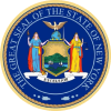 New York State Medical & Orthopedic Surgeon License